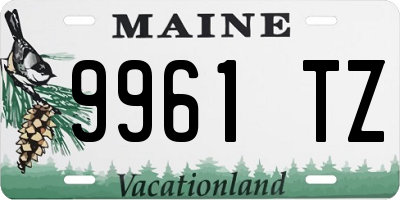 ME license plate 9961TZ