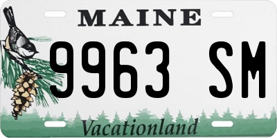 ME license plate 9963SM