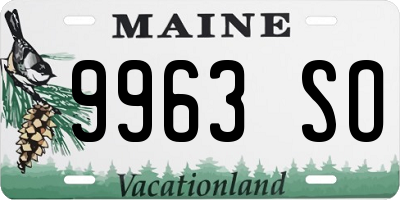 ME license plate 9963SO