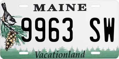 ME license plate 9963SW