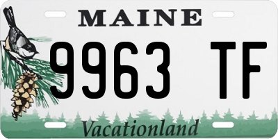 ME license plate 9963TF