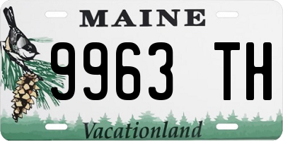ME license plate 9963TH