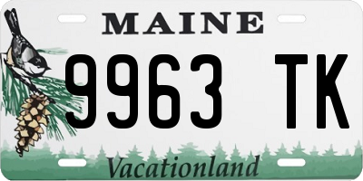 ME license plate 9963TK