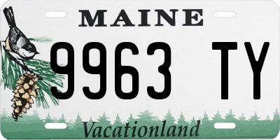 ME license plate 9963TY