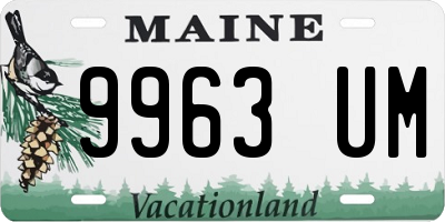 ME license plate 9963UM