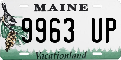 ME license plate 9963UP
