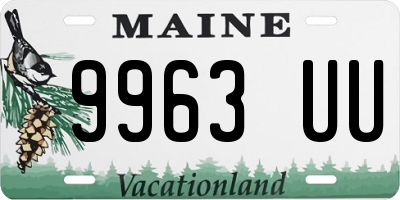 ME license plate 9963UU