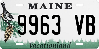 ME license plate 9963VB
