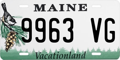 ME license plate 9963VG