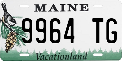 ME license plate 9964TG