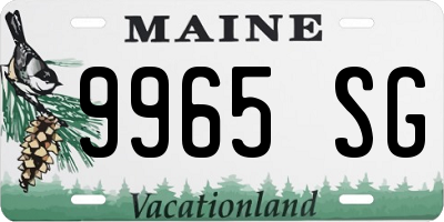 ME license plate 9965SG