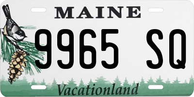 ME license plate 9965SQ