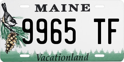ME license plate 9965TF