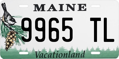 ME license plate 9965TL