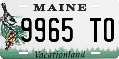 ME license plate 9965TO