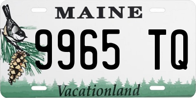 ME license plate 9965TQ