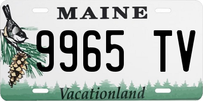 ME license plate 9965TV