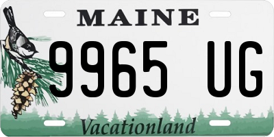 ME license plate 9965UG