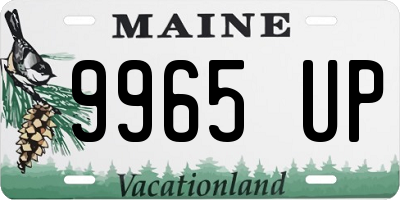 ME license plate 9965UP