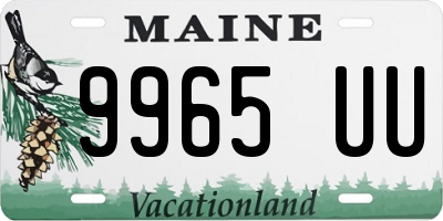 ME license plate 9965UU