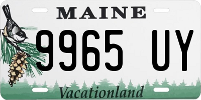 ME license plate 9965UY