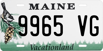 ME license plate 9965VG