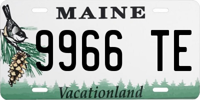 ME license plate 9966TE