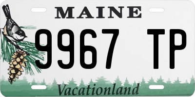 ME license plate 9967TP