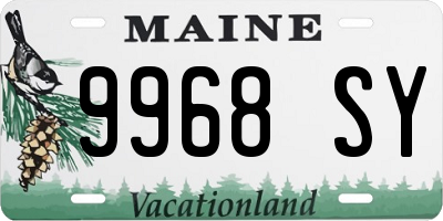 ME license plate 9968SY