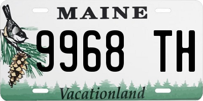 ME license plate 9968TH