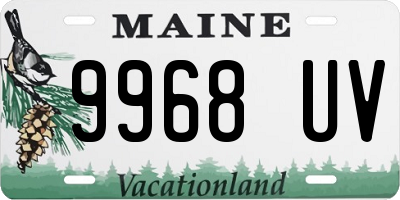 ME license plate 9968UV
