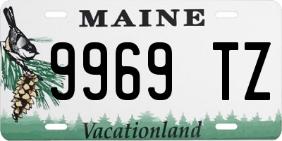 ME license plate 9969TZ