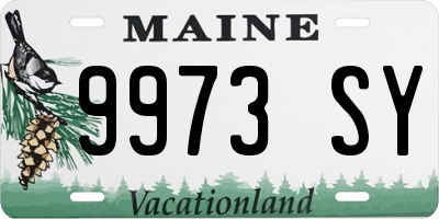 ME license plate 9973SY