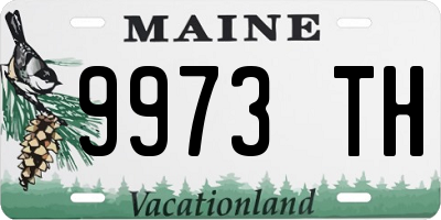 ME license plate 9973TH