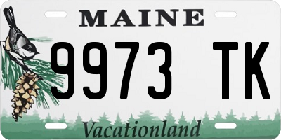 ME license plate 9973TK