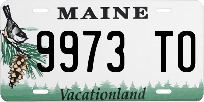ME license plate 9973TO