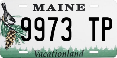 ME license plate 9973TP