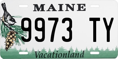 ME license plate 9973TY