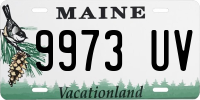 ME license plate 9973UV