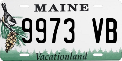 ME license plate 9973VB