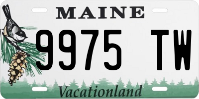 ME license plate 9975TW
