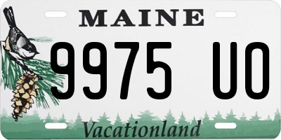 ME license plate 9975UO