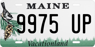 ME license plate 9975UP