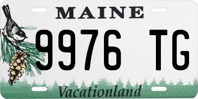 ME license plate 9976TG