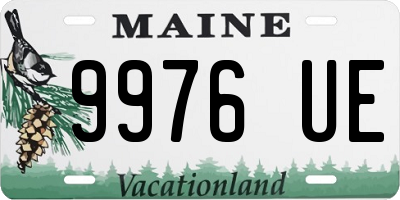 ME license plate 9976UE