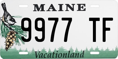 ME license plate 9977TF