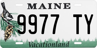 ME license plate 9977TY