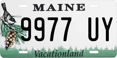 ME license plate 9977UY