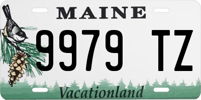 ME license plate 9979TZ