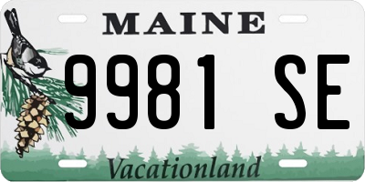 ME license plate 9981SE